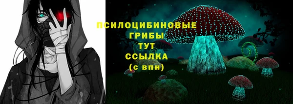 кокс Алексин