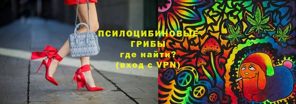 кокс Алексин
