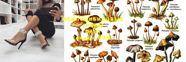 трава Алзамай