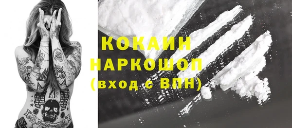 кокс Алексин