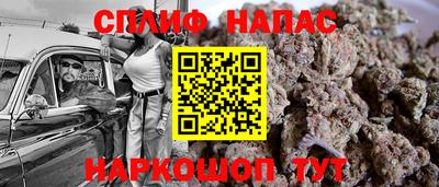 тгк Канаш