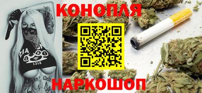 прущие грибы Кандалакша