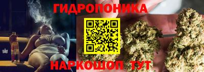 прущие грибы Кандалакша