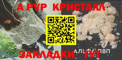 прущие грибы Кандалакша