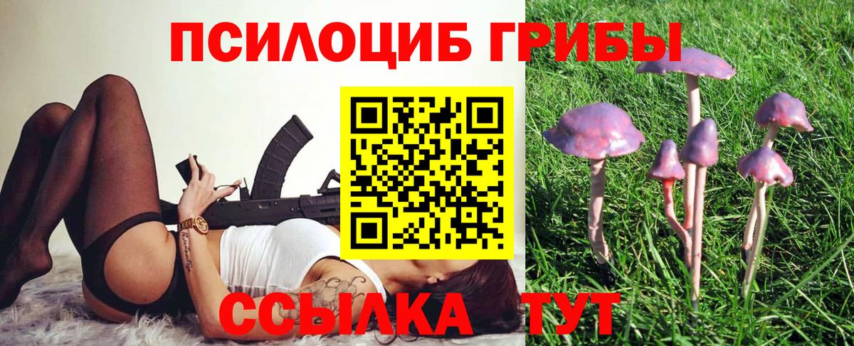 Луга  Псилоцибиновые грибы Cubensis  Вход с VPN 