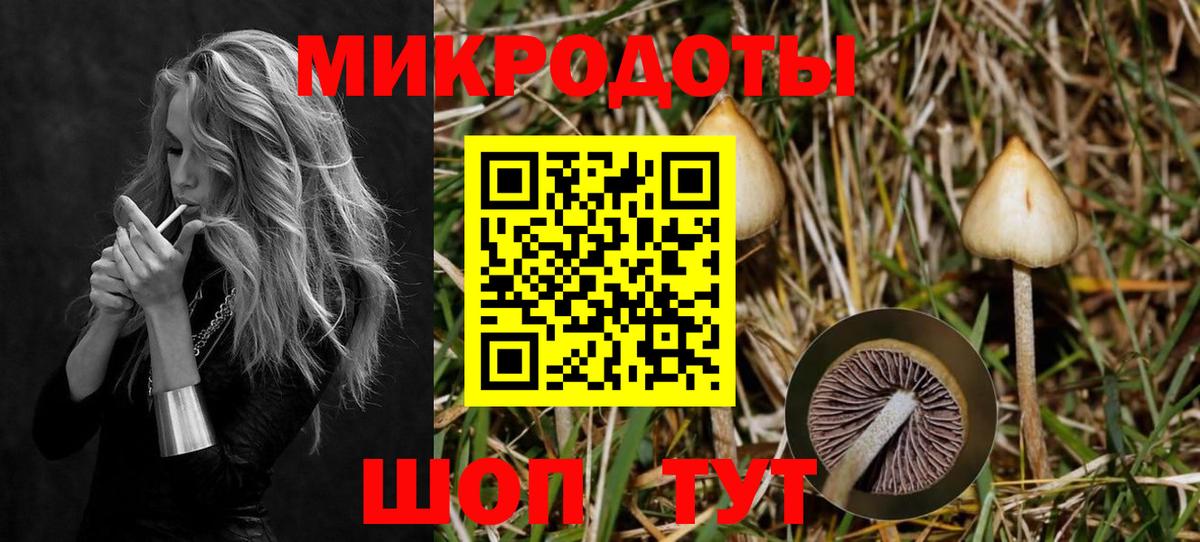 Псилоцибиновые грибы мухоморы Луга